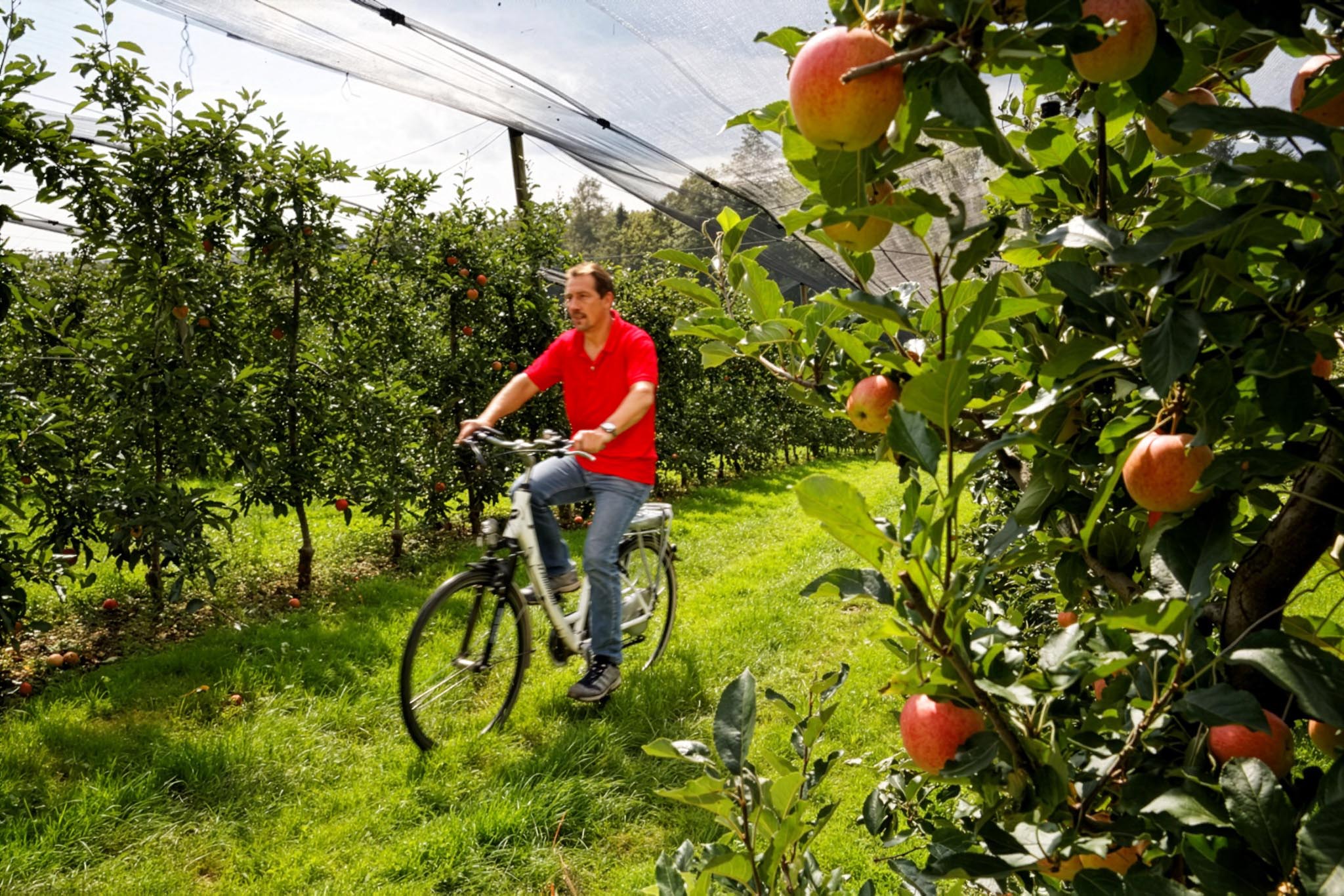 Fahrradfahren im Obstgarten © Bernhard Bergmann